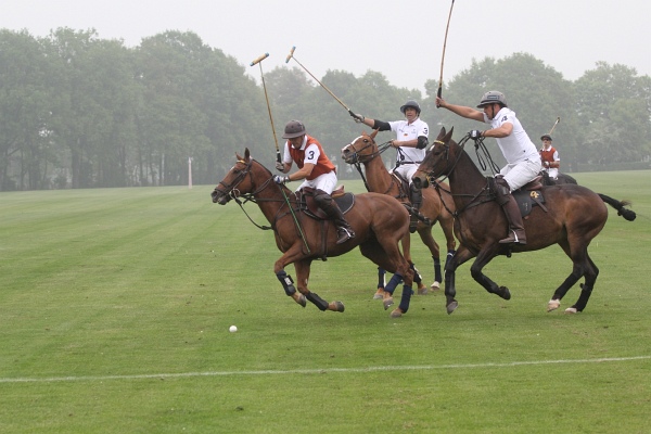 Polo_Art   082.jpg